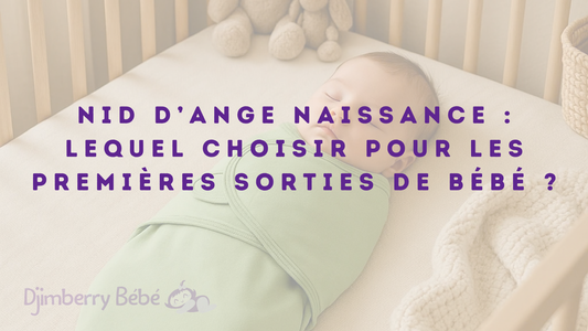 nid d'ange naissance