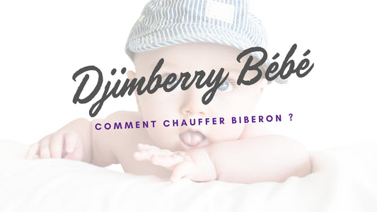chauffe biberon nomade
