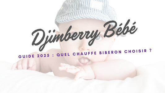 chauffe biberon voiture