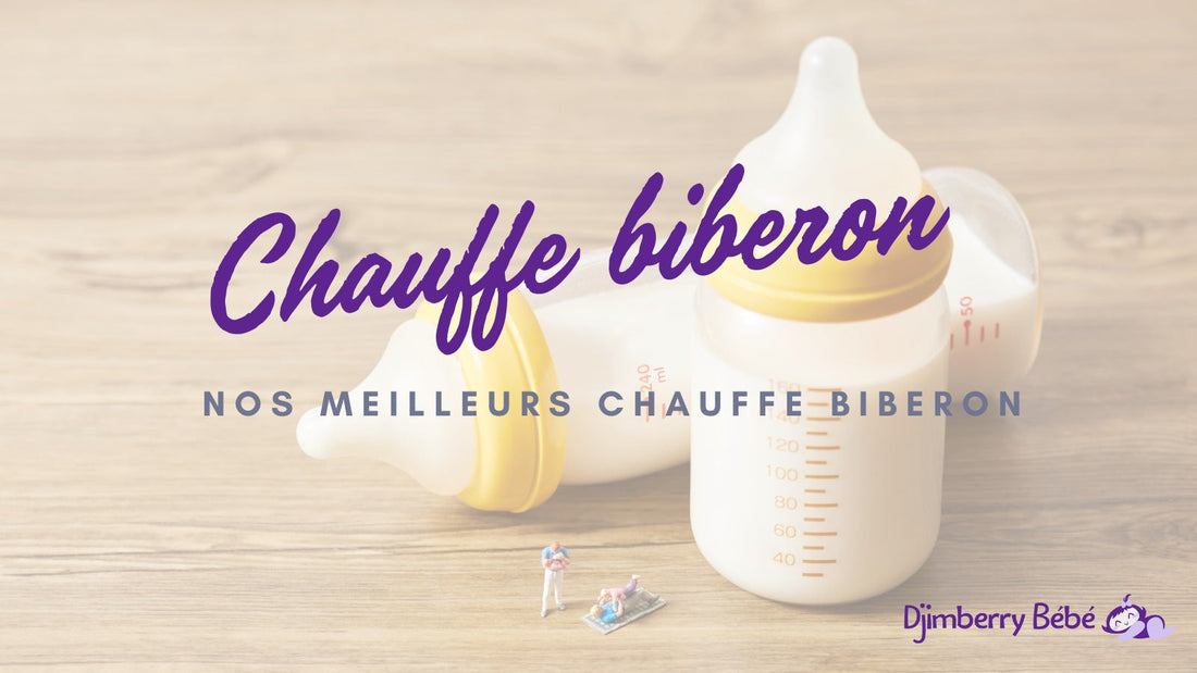 meilleur chauffe biberon