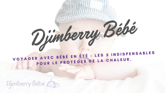 chauffe biberon