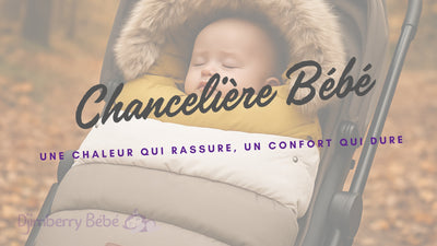 chanceliere bebe